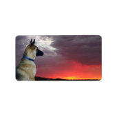 German Shepherds Address Labels Adressaufkleber (Vorne)