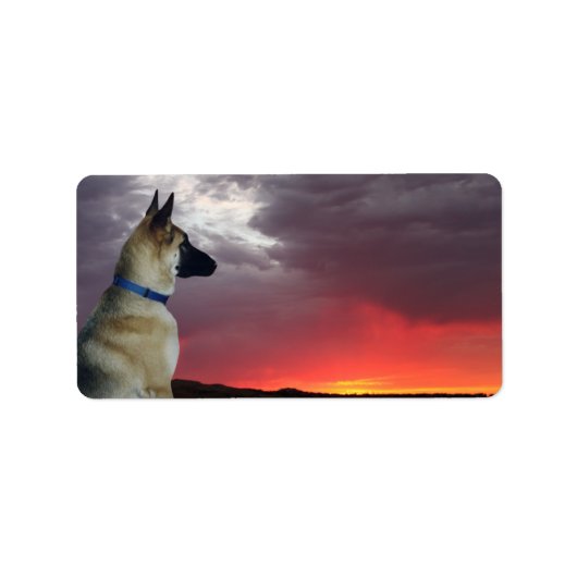 German Shepherds Address Labels Adressaufkleber (Vorne)