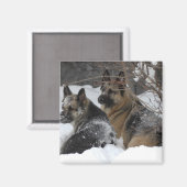 German Shepherds Best Friends Magnet (Vorderseite/Rückseite)