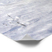 German Shepherds Running in the Snow Poster (Ecke)