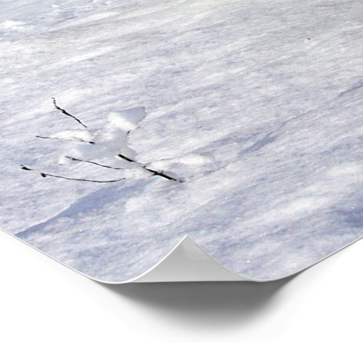 German Shepherds Running in the Snow Poster (Ecke)