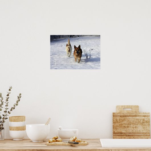 German Shepherds Running in the Snow Poster (Küche)