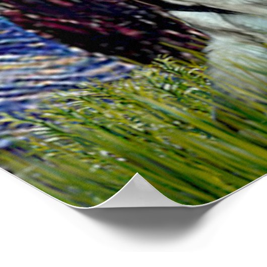 German Shepherds Three - Starry Night Poster (Ecke)