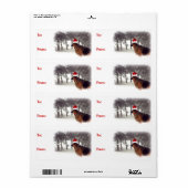 German Shepherds Weihnachtsgeschenke (Vorne)