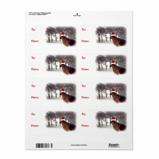 German Shepherds Weihnachtsgeschenke (Vorne)