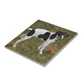 German_short_haired_pointer_puppy Fliese (Seite)