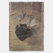 German Shorthaired Pointer , Deutsch Kurzhaar Decke (Vorderseite Vertikal)