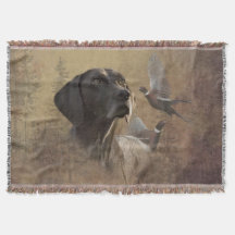 German Shorthaired Pointer , Deutsch Kurzhaar