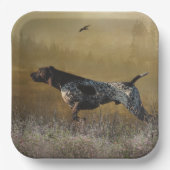 German Shorthaired Pointer , Deutsch Kurzhaar Pappteller (Vorderseite)