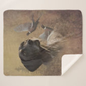 German Shorthaired Pointer , Deutsch Kurzhaar Sherpadecke (Vorderseite (Horizontal))