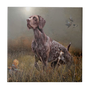 German Shorthaired Pointer , Deutsch Kurzhaar Tape Fliese