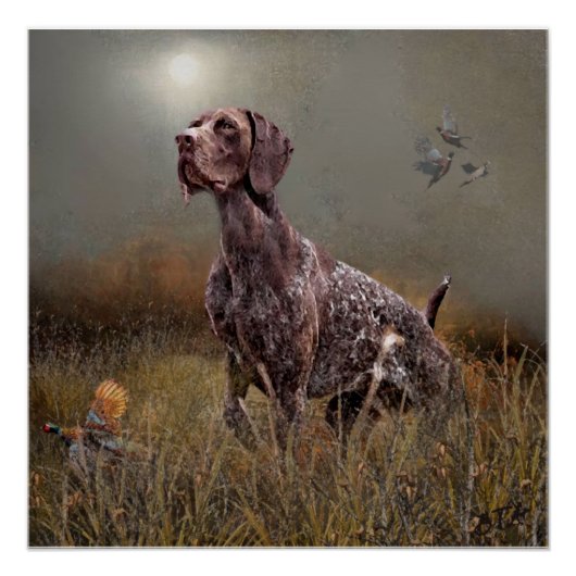 German Shorthaired Pointer , Deutsch Kurzhaar Tape Poster (Vorderseite)