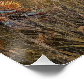 German Shorthaired Pointer , Deutsch Kurzhaar Tape Poster (Ecke)