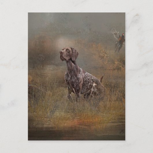 German Shorthaired Pointer , Deutsch Kurzhaar Tape Postkarte (Vorderseite)
