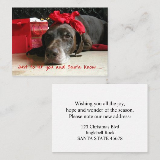 German Shorthaired Pointer New Address Begleitkarte (Vorne/Hinten)