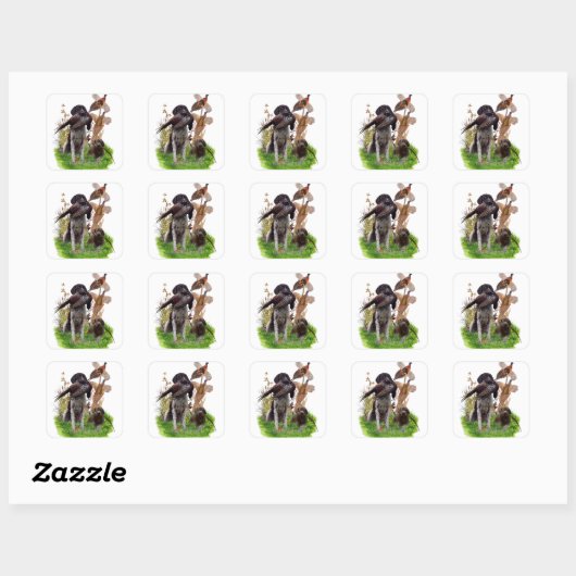 German Shorthaired Pointer    Sticker (Blatt)