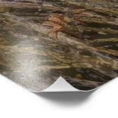 German Shorthaired Pointers  Fotodruck (Ecke)