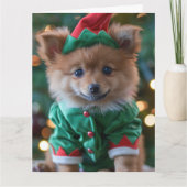 German Spitz Elf Welpe Christmas Card Karte (Vorderseite)