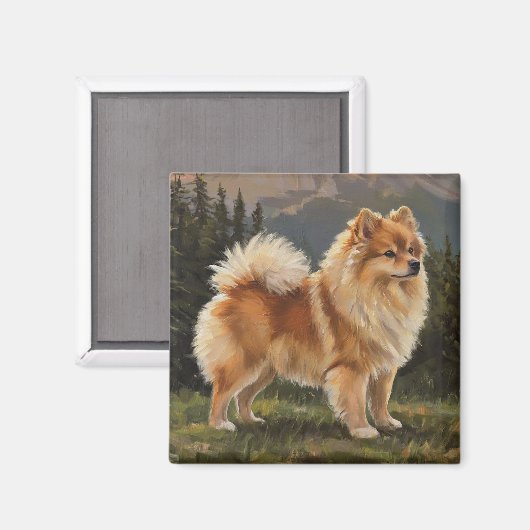 German Spitz Magnet (Vorderseite/Rückseite)