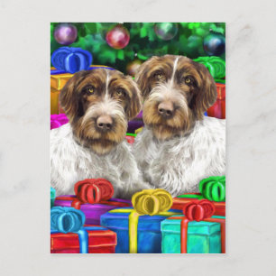 German WH Pointer Open Geschenke Weihnachten