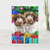 German WH Pointer Open Geschenke Weihnachten (Vorderseite)