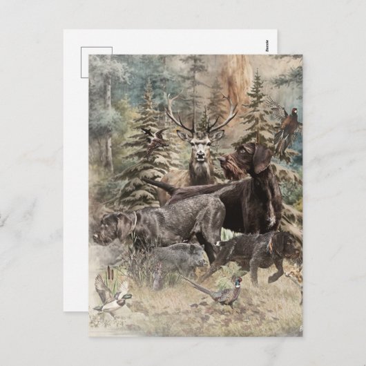 German Wirehaired Pointer Feiertagspostkarte (Vorne/Hinten)