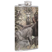 German Wirehaired Pointer Flachmann (Rechts)