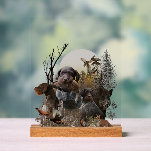 German Wirehaired Pointer, GWP Acrylschild (Neutral)