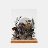 German Wirehaired Pointer, GWP Acrylschild (Vorderseite)