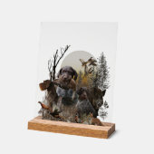 German Wirehaired Pointer, GWP Acrylschild (Winkel)