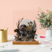 German Wirehaired Pointer, GWP Acrylschild (Hochzeit)