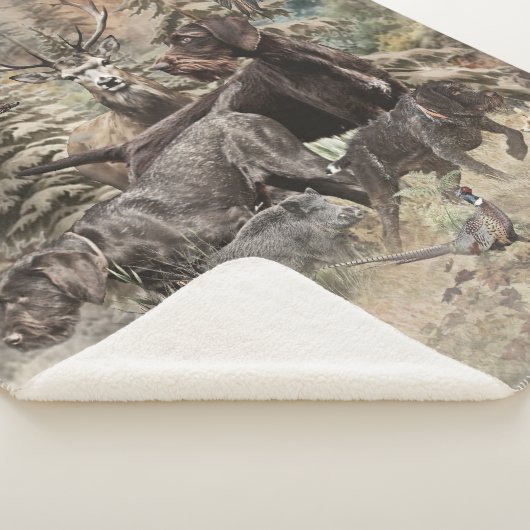 German Wirehaired Pointer Sherpadecke (3/4)