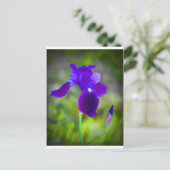 Germanisch Lila Iris Blossom digital gestrichen Postkarte (Stehend Vorderseite)
