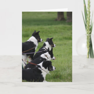 GermanShepherds Karte