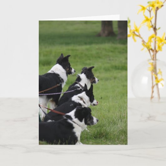 GermanShepherds Karte (Gelbe Blume)