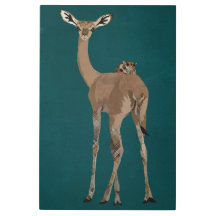 GERNUK U. ZUCKERsegelflugzeug