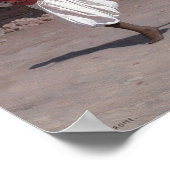 Gérôme - Die Pascha-Sieger Poster (Ecke)