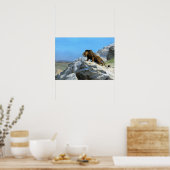 Gérôme - Lion on Watch Poster (Küche)