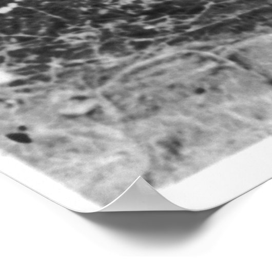 Geronimo [1886] poster (Ecke)