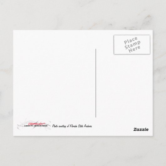 Geronimo, Geronimo und Apache indische Pi... Postkarte (Rückseite)