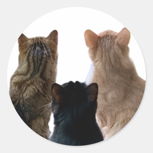 Geronimo, Henri & Floyd Sticker (Vorderseite)