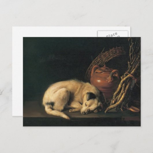 Gerrit Dou - Ein schlafender Hund mit Terracotta P Postkarte (Vorne/Hinten)