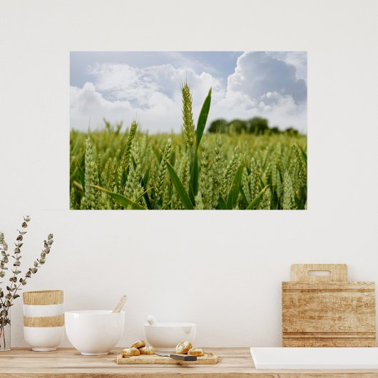Gerste Poster (Küche)