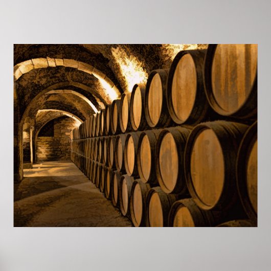 Gerstenlandschaft im Weingut Poster (Vorne)