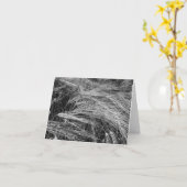 Gerstenohren (Hordeum vulgare) Karte (Gelbe Blume)