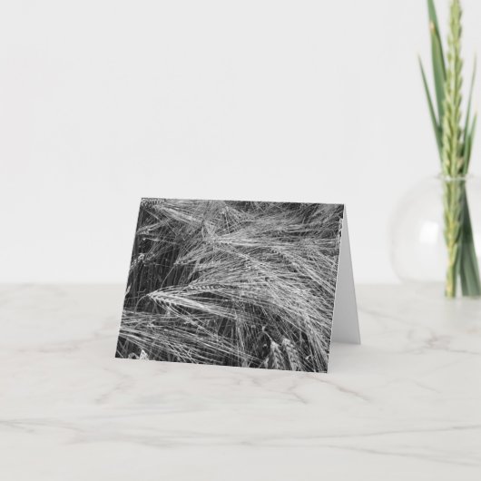 Gerstenohren (Hordeum vulgare) Karte (Vorderseite)