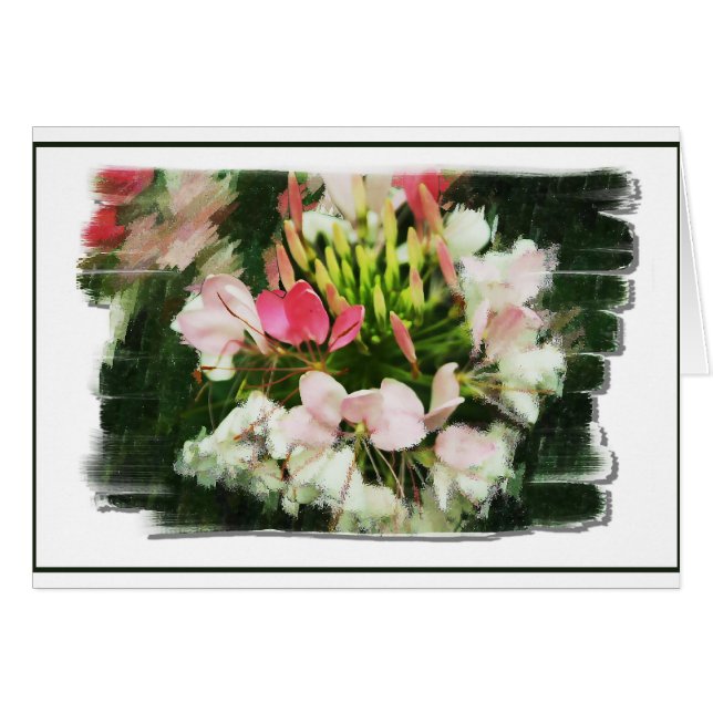 Gerüche der Farbe (Vorderseite (Horizontal))