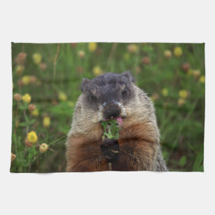 Geruchende Frühlingshaube Handtuch