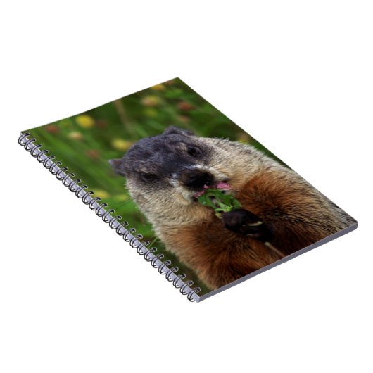 Geruchende Frühlingshaube Notizblock (Rechte Seite)