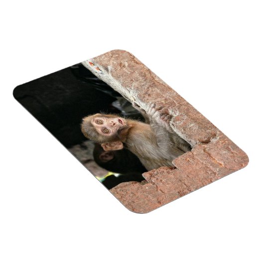 Geruchener Affe mit rechteckigem Magnet mit großen (Rechte Seite)